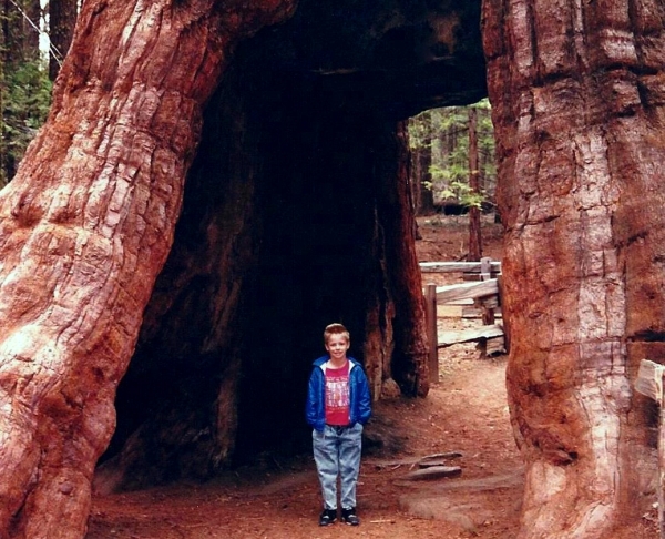 Drew inside a redwood turned gateway in Mariposa Grove, Yosemite, 1992