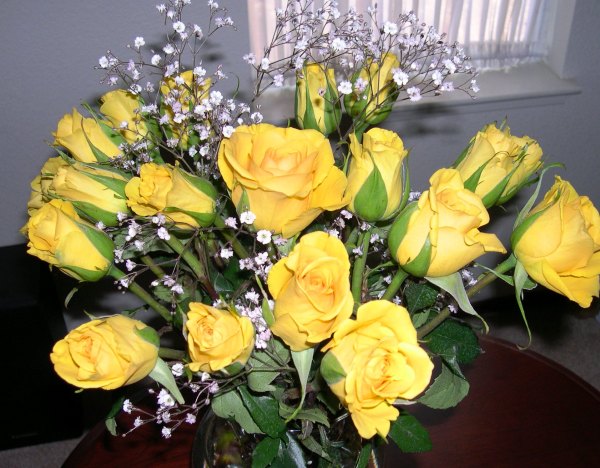 Yellow Roses from Jeff, June 2003