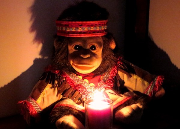 The Fire Monkey who runs this blog sends you best wishes for an auspicious year!